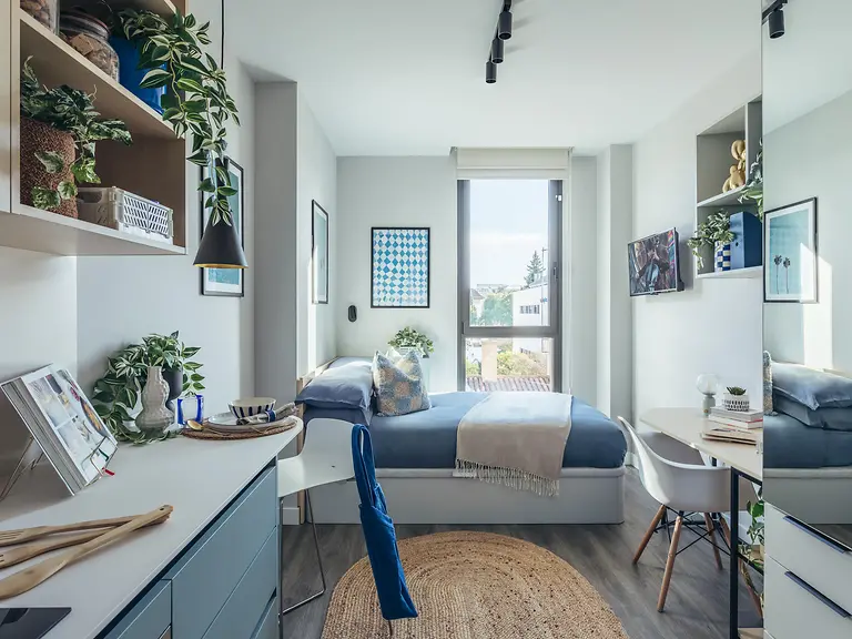 Palm studios