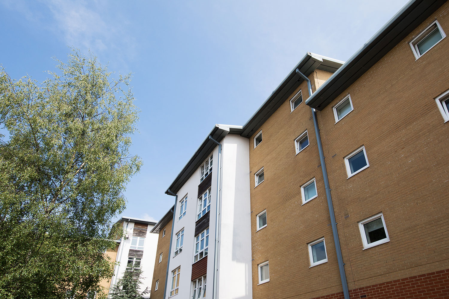 Severn Point Cardiff Student