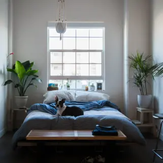 Apartments