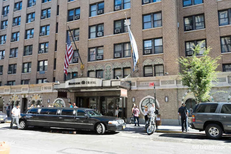 Harrington Belvedere New York