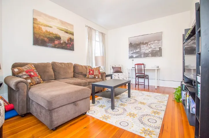 Furnished 1Bed w/ Natural Light Boston