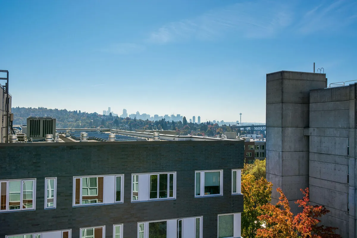 Nora Seattle 5