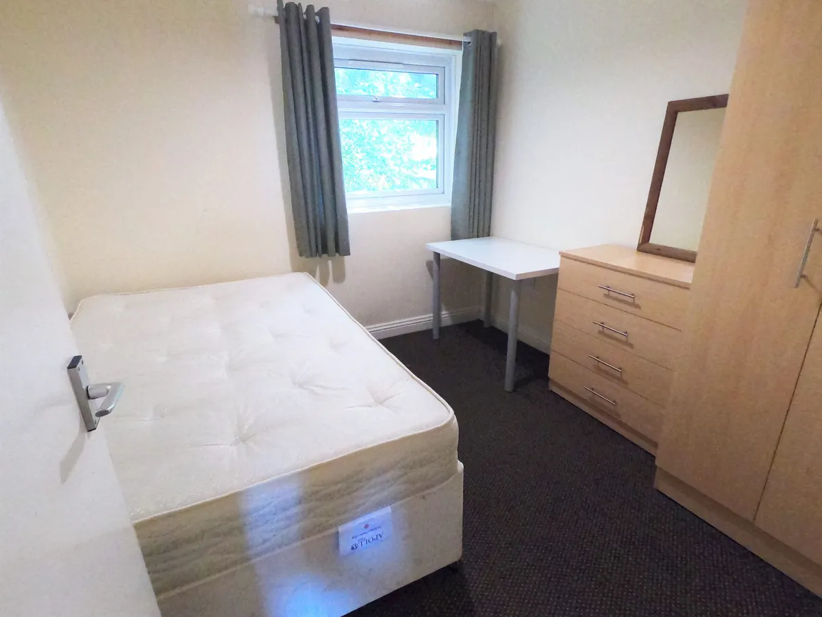 7 Bed House - Wanless Terrace Durham 6