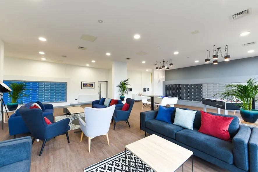 Great Patrick Street Belfast Student