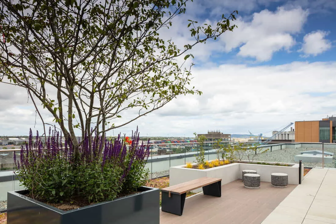 Point Campus Dublin 3