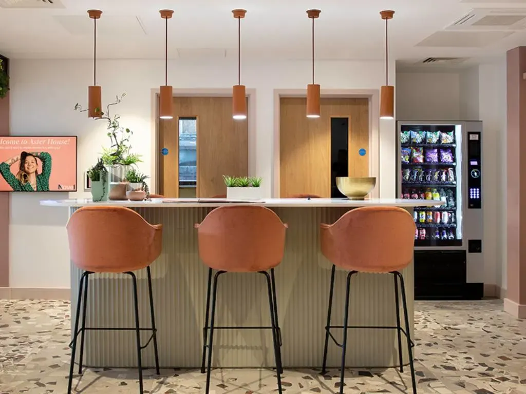 Aster House Belfast 5
