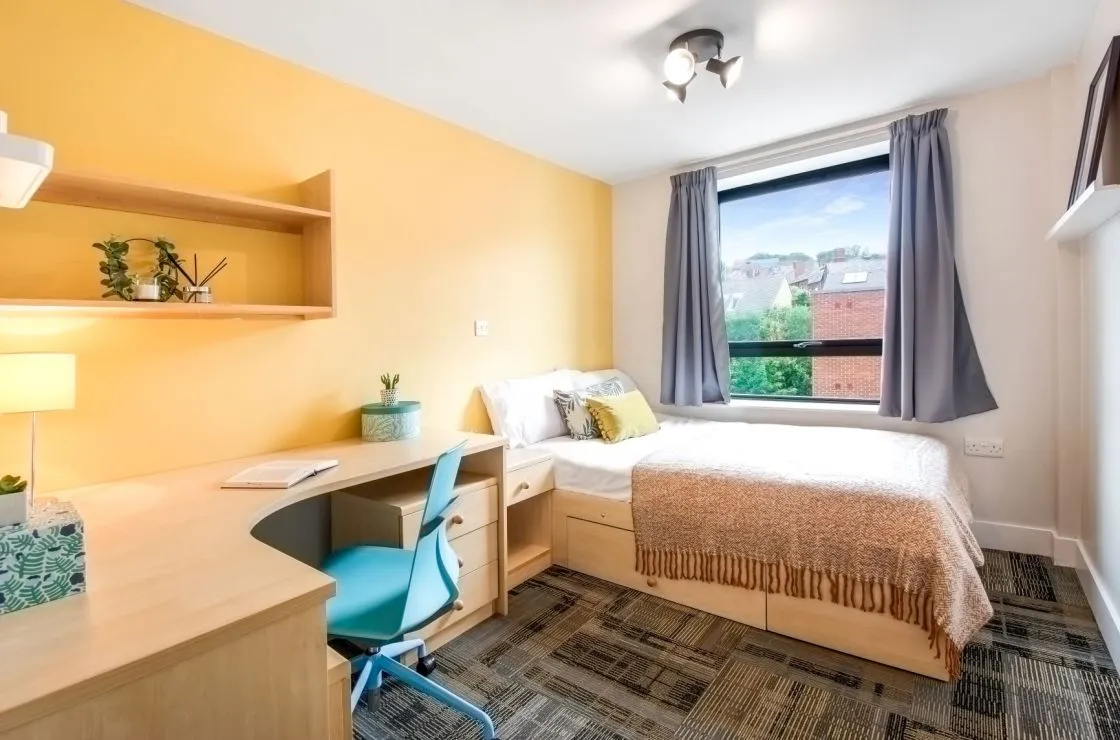 the triangle accommodation