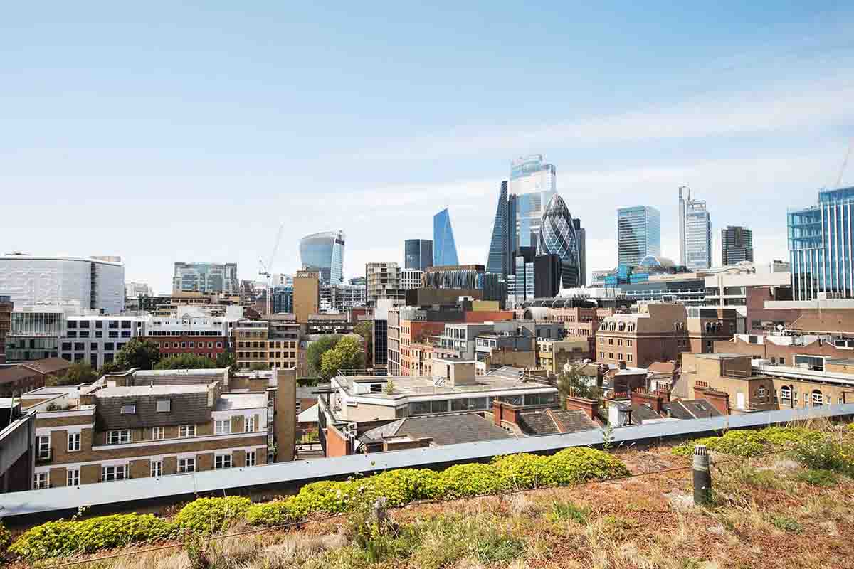 Drapery Plaza London Student